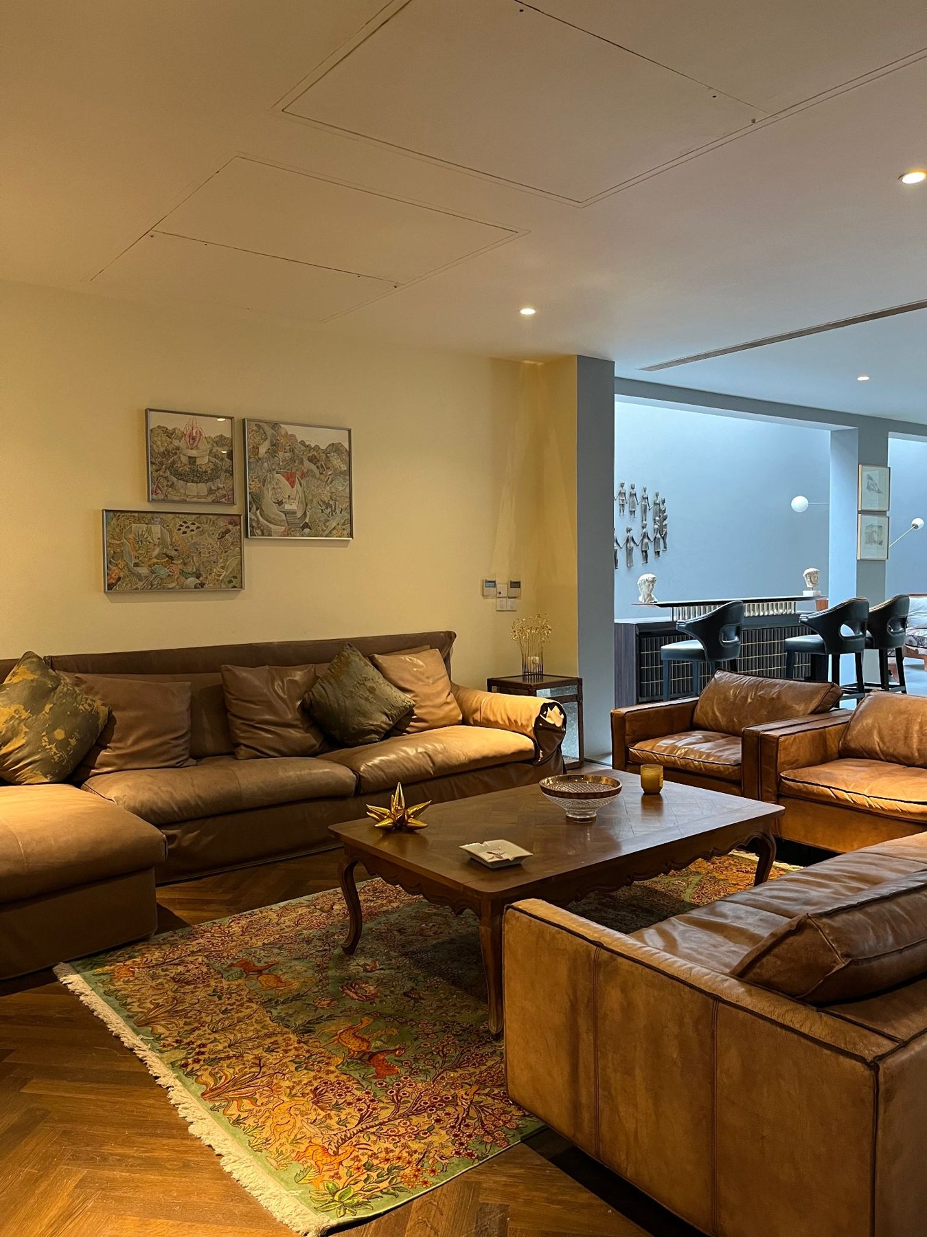 Living room in Siddartha Tytler's home by The Dreamo